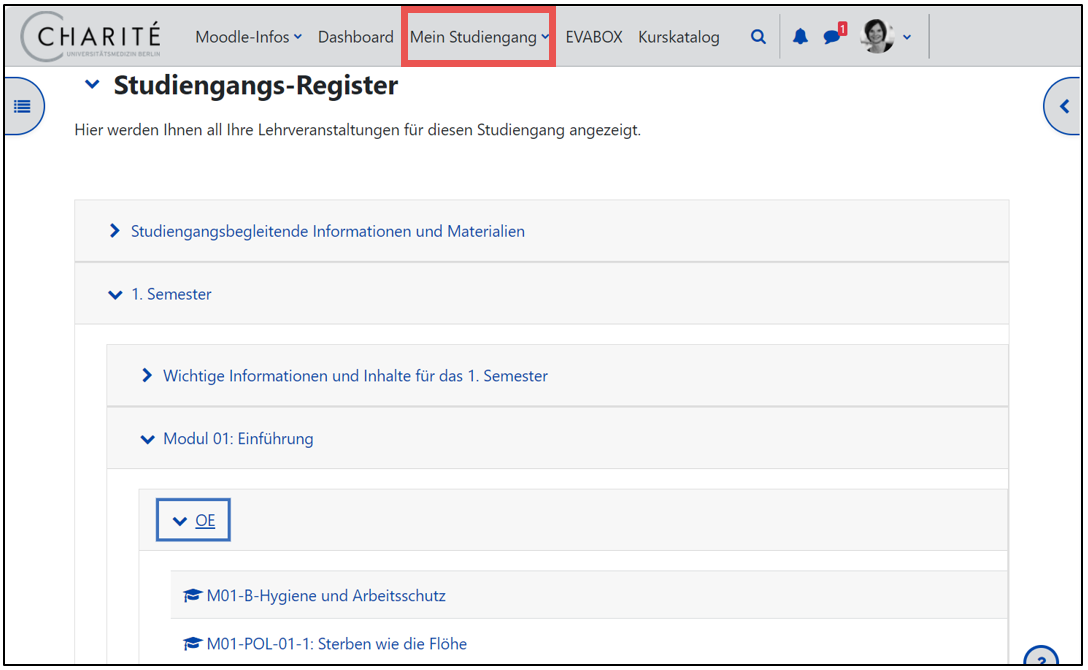 Das Bild zeigt die Oberfläche von Moodle. In der Kopfzeile ist „Mein Studiengang“ markiert. 