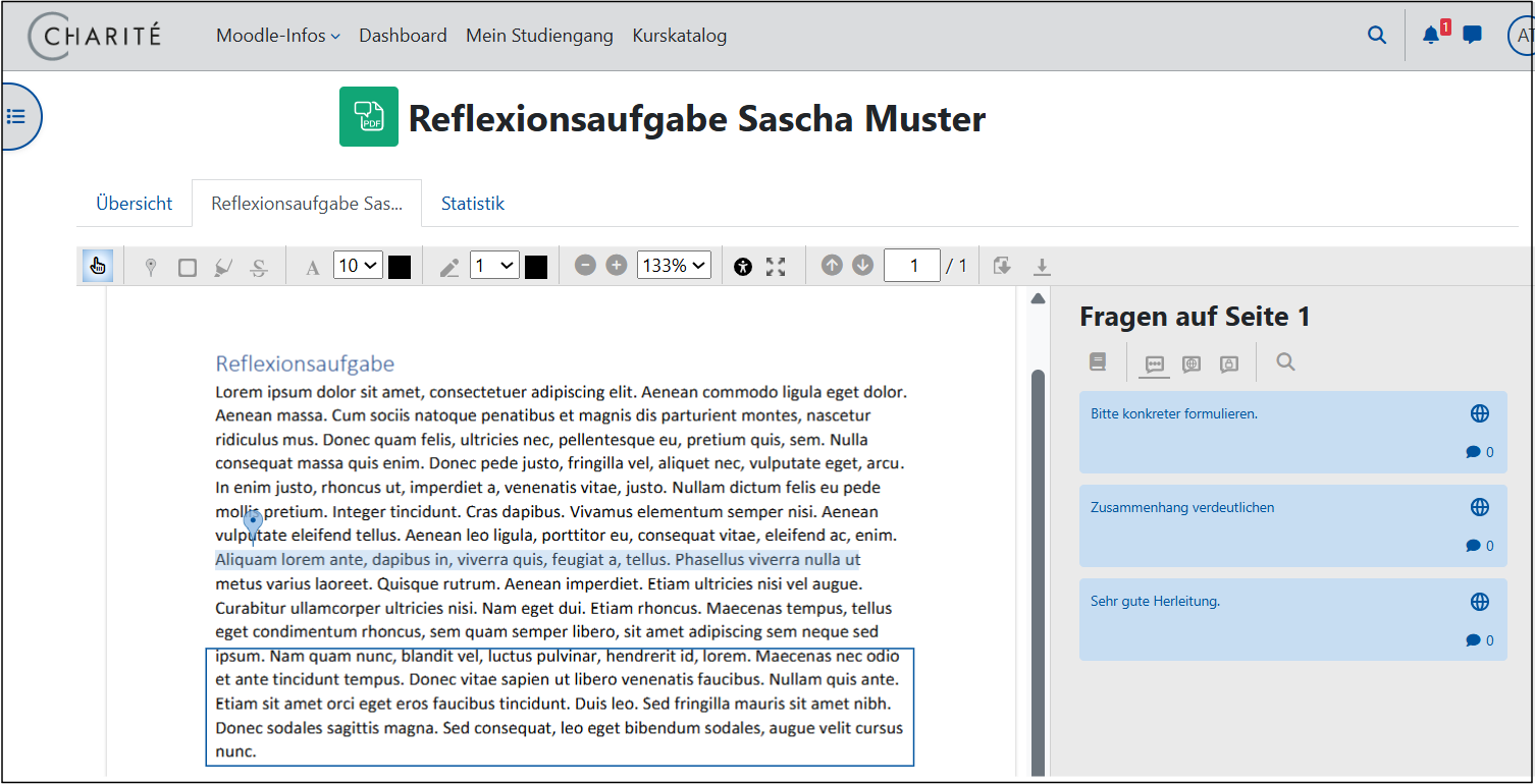 PDF mit Annotationen und Kommentaren