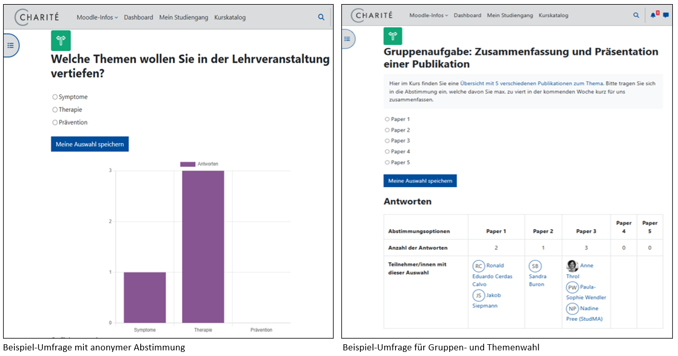 Beispiele für anonyme Abstimmung und Umfrage für Gruppen- und Themenwahl